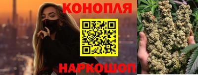 индика Пугачёв