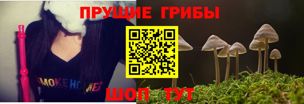 Псилоцибиновые грибы прущие грибы  Вход с VPN  Семилуки  Галлюциногенные грибы MAGIC MUSHROOMS 